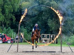 _DSC8603_web